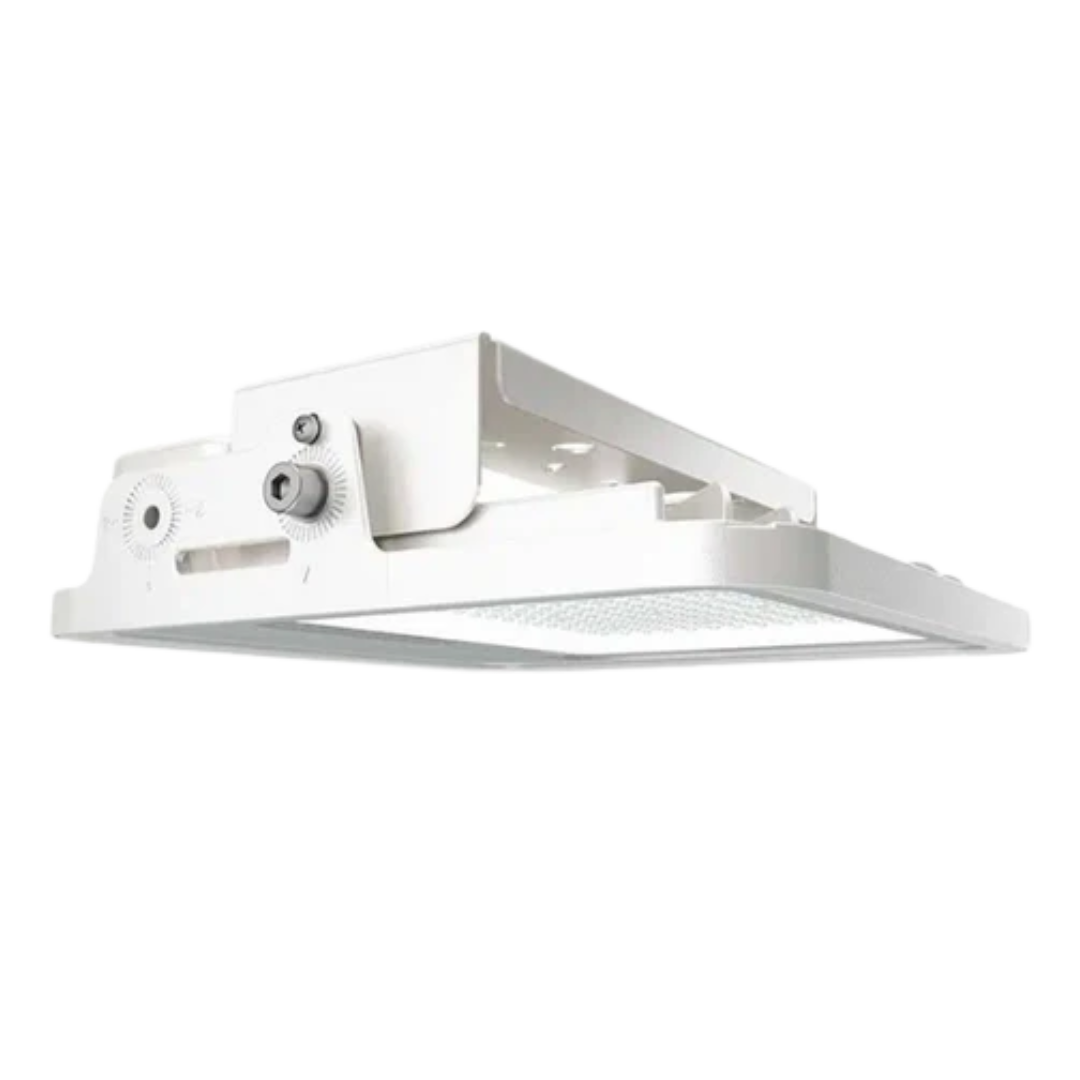Foco Proyector LED ATEX 100W 160LM/W IP66 IK10 Philips Lumileds 3030
