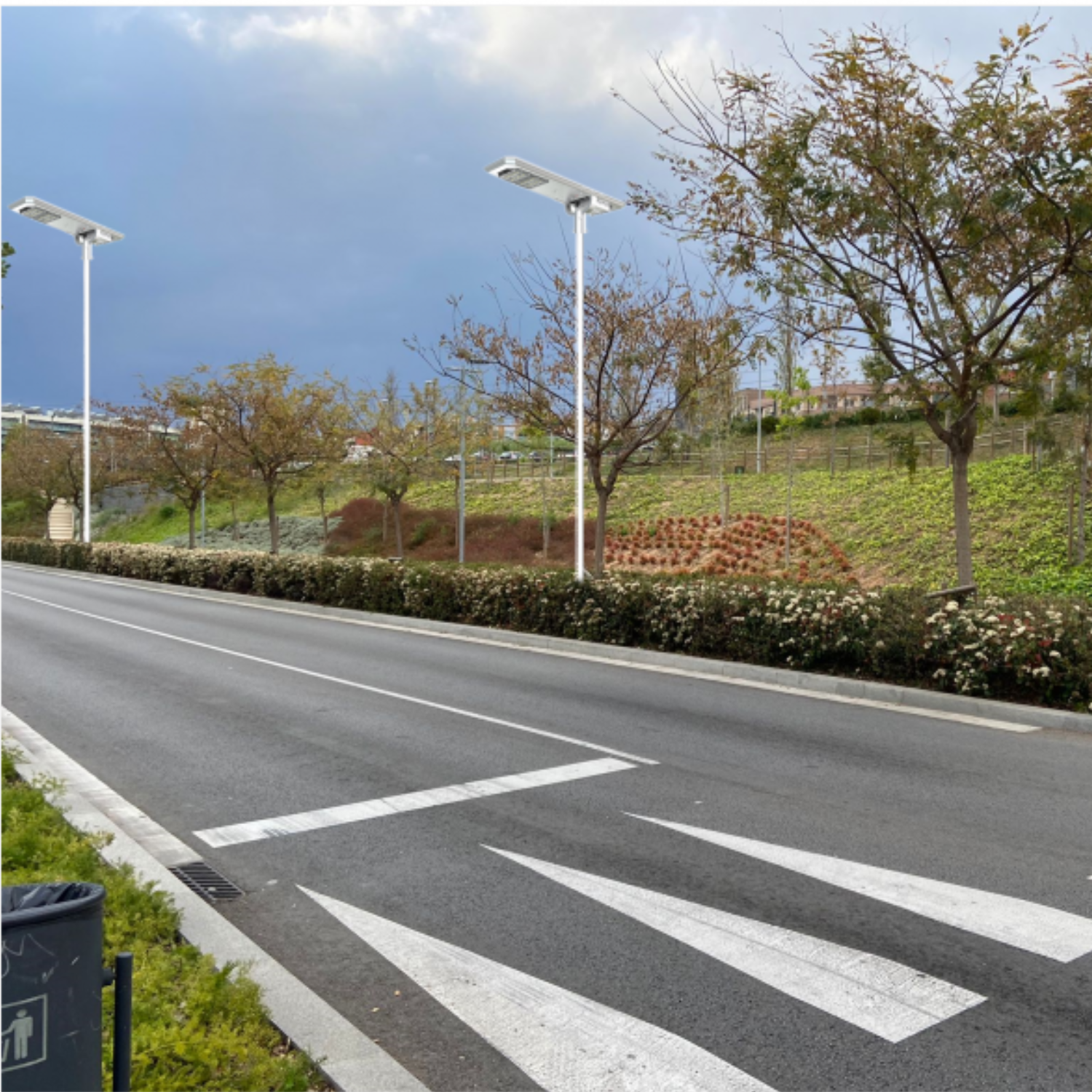 Farola Solar LED Serie Street-Light 4000lm 150lm/W IP65 IK08 Gris Plata Ø60mm Sensor PIR
